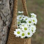 Styl życia dla kobiet: jak osiągnąć równowagę i spełnienie w codzienności