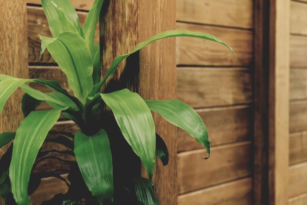 Green interior