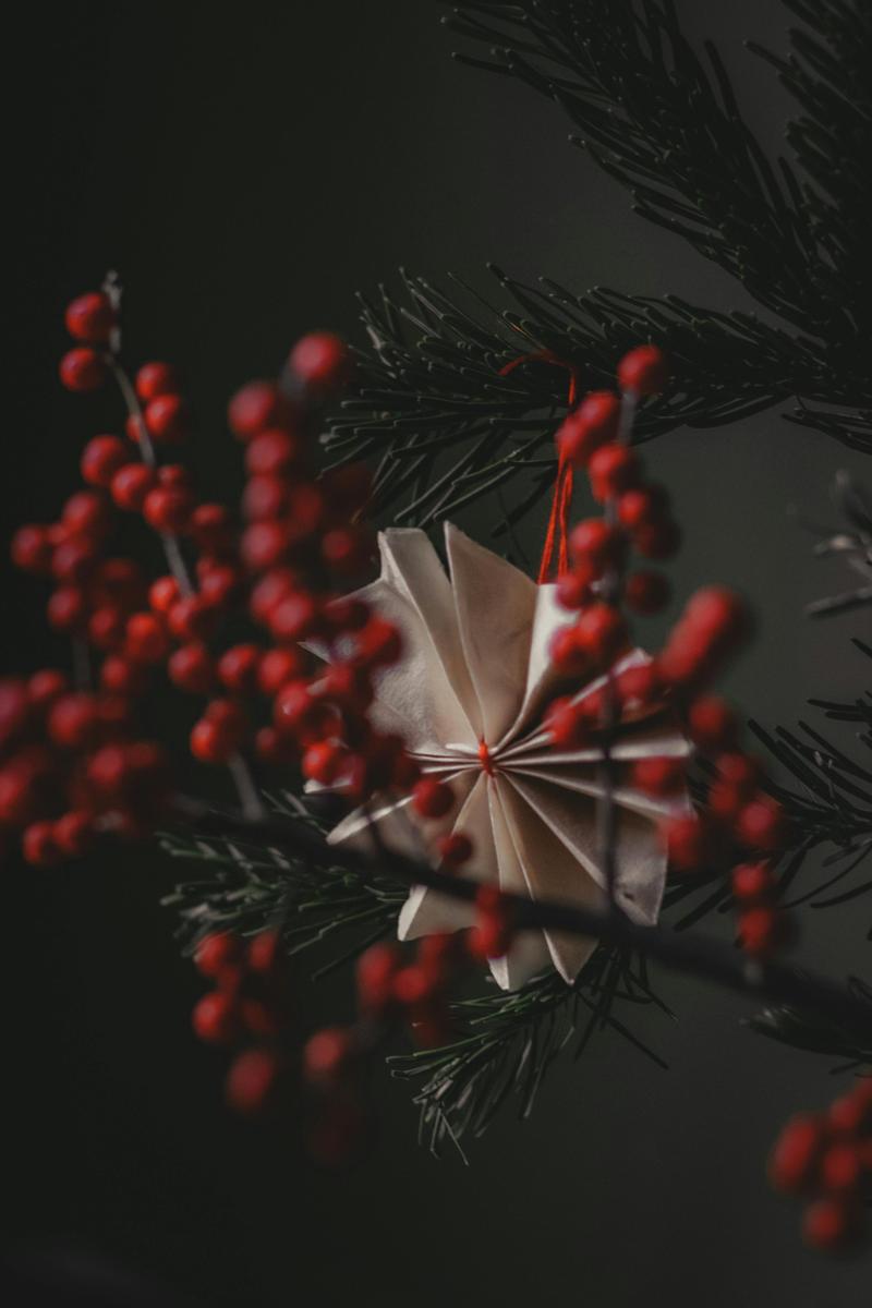 paper star