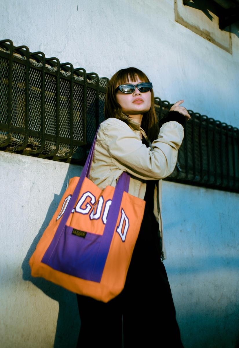 stylish handbag